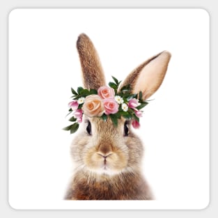 Baby Rabbit, Brown Bunny with Flower Crown, Baby Animals Art Print by Synplus Sticker